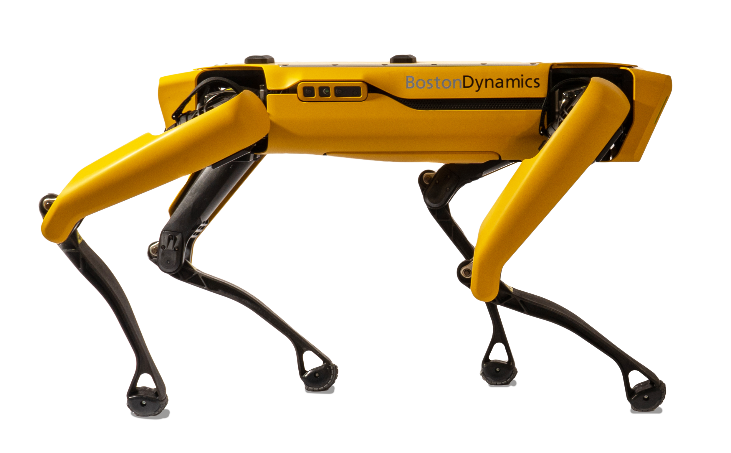 SpotMini-Boston Dynamics Robot Dog
